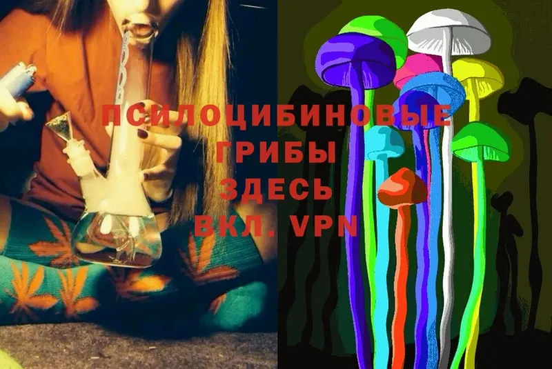 Псилоцибиновые грибы Cubensis  как найти наркотики  Лиски 